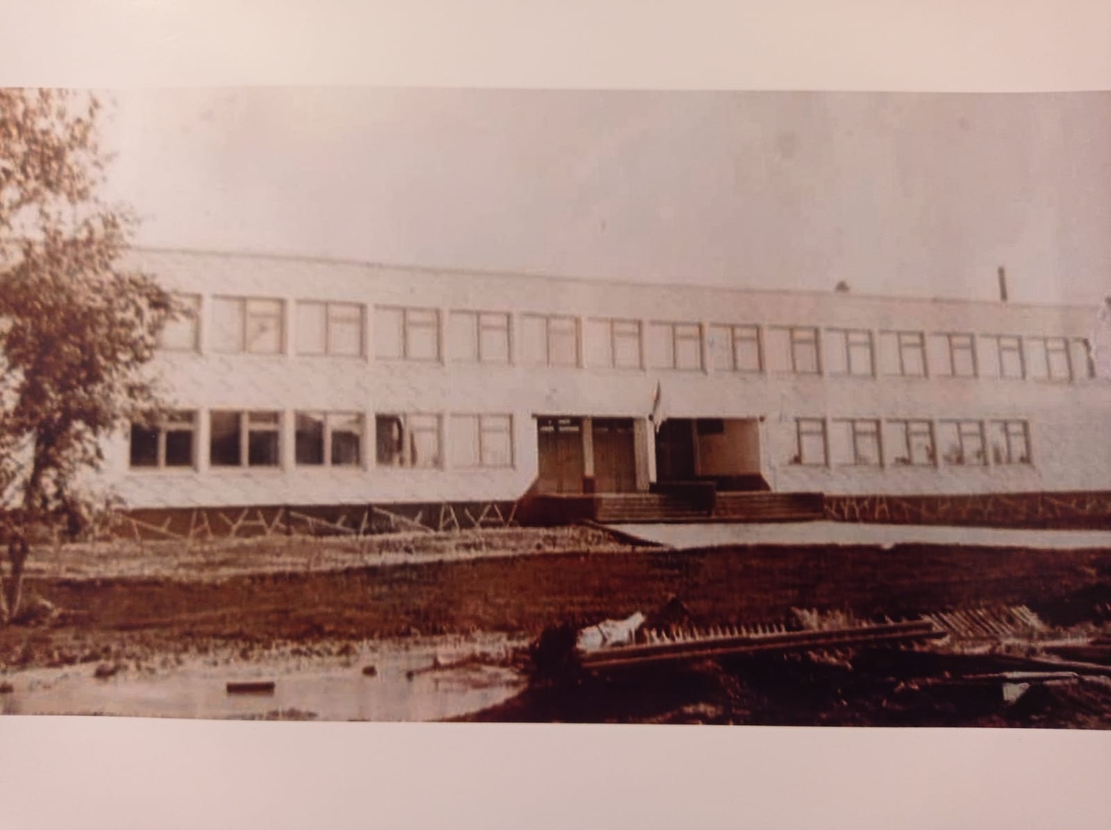 Алексеевская школа 1985 год.